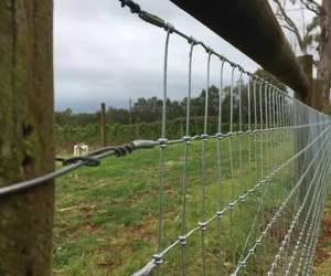 Venta al por mayor a granel barato ganado caballo y cabra granja Valla rígida <span class=keywords><strong>estancia</strong></span> malla de alambre de acero para gran venta - Product Image 2