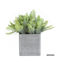 Petit Bonsaï Artificiel en Pot de 25 cm : Faux Taxus, Fougère, Cyprès, Lysimachia Sikokiana, Nephrolepis pour Mariage