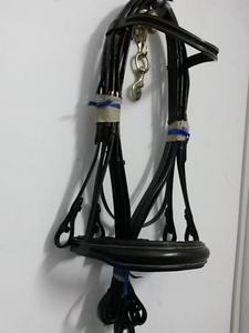 Caballo de cuero genuino de alta calidad, Boca de lujo, doble brida con banda anatómica para la nariz y banda para las cejas de canal vacío - Product Image 2