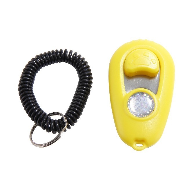 Pet Special Dog Training Interactive Toy
