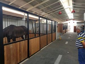 Baldosas de Goma Antideslizantes con Forma de Hueso de Perro para Parques Infantiles, Ladrillos de Goma para Suelos, Ladrillos de Goma para Caminos Exteriores, Ladrillos de Goma para Pavimentación de Aceras - Product Image 4
