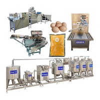 Machine à casser les œufs hautement automatisée / Machine de pasteurisation des œufs / Ligne de production d'œufs liquides