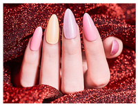 L&M Fashion Style Gel Nail Gel Suppli Wholesale Nail Led Uv Polish in Gallon Bulk Package Polish Nail