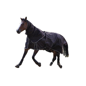 Fanfaree ชุดเดรสผ้าฝ้ายขนแกะกันน้ำน้ำหนักเบาสำหรับฤดูหนาว - Product Image 4