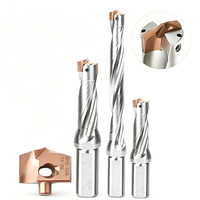 3D/5D/8D/10D Indexierbarer Kronenbohrer mit Innenkühlung für CNC-Tiefbohrungen Lieferant