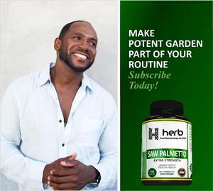 Capsule d'extrait de palmiste naturel OEM/ODM, formule personnalisée pour le soutien de la santé - Product Image 5