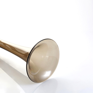 <span class=keywords><strong>Trompeta</strong></span> <span class=keywords><strong>de</strong></span> plástico ligero para principiantes, juego <span class=keywords><strong>de</strong></span> instrumentos con <span class=keywords><strong>trompeta</strong></span> silenciosa y piezas para la <span class=keywords><strong>boca</strong></span> - Product Image 6