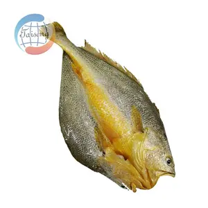 टैसेनग शीर्ष गुणवत्ता ताजा जमे हुए IQF जमे हुए पीले क्रॉकर गैटेड और स्केल्ड क्रॉकर मछली