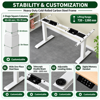 Bureau assis-debout électrique à 2 niveaux avec double moteur dissimulé, réglable en hauteur, ergonomique, pour la maison et le bureau, mobilier informatique