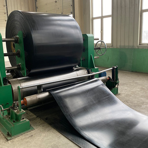 Madencilik ayarlanabilir hız seçeneği için endüstriyel sınıf 100m tarım konveyör bant ısıya dayanıklı kauçuk - Product Image 4