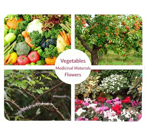 Abamectina 1.8%, 3.6%, 5% EC Utilizada como Acaricida e <span class=keywords><strong>Insecticida</strong></span> - Product Image 4