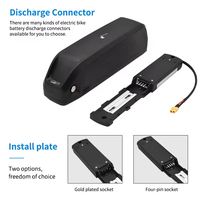 Batterie de vélo électrique Hailong, prix usine, haute capacité, 36V 48V, moteur 1000W, longue autonomie, lithium 18650, 30A, USB, E-bike