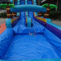 Glissière d'eau gonflable résistante de PVC épaissie grande location de partie pour le château gonflable des enfants