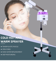 Choix Populaire : Brosse Nettoyante Visage à Vapeur Ionique, Vaporisateur Facial, Instrument de Soin de la Peau en ABS et Acier Inoxydable