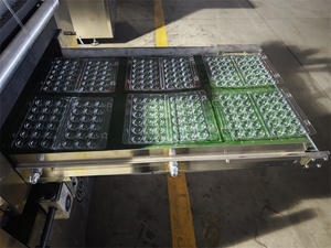 Machine automatique de fabrication de plateaux en <span class=keywords><strong>plastique</strong></span> pour œufs de caille pour incubateur, machine de fabrication de plateaux en <span class=keywords><strong>plastique</strong></span> pour cages à cailles, machine à plateaux à œufs - Product Image 6