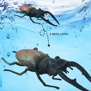 Juguete de Escarabajo de Gran Tamaño Unisex, Juguete de Animal con Temática de Crecimiento en Agua, que se Expande y Crecerá al Remojarlo en Agua - Product Image 4