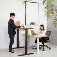 Meubles de bureau écologiques, table de bureau en bambou massif, bureau debout en bambou, bureau debout Ecoamx