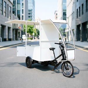 Tricycle de livraison <span class=keywords><strong>électrique</strong></span> à trois roues, type Tuk Tuk, remorque, camionnette alimentaire, camion kiosque, semi-remorque à pneus larges, vélo cargo <span class=keywords><strong>électrique</strong></span> - Product Image 1