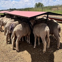 Mangeoire à foin et à grain pour bétail, en acier thermolaqué, personnalisée, pour clôture de ferme ou ranch