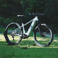 Vélo de montagne électrique pour adulte 2026 Central Motor E-MTB Ebike M430/500W U4000-9S 29 pouces en alliage d'aluminium 960Wh 48V20A à moteur central