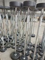 Ensemble d'haltères fixes Snbo 10 kg 20 kg 30 kg 40 kg 50 kg, support d'haltères fixes, fixe les haltères droits, haltères en caoutchouc, barre EZ, best-seller