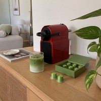 Capsules de Matcha en Gros : Poudre de Thé Vert Matcha en Dosettes pour Usines