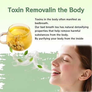 Thé en sachet aux ingrédients naturels pour renforcer l'immunité et la santé bucco-dentaire, éliminateur de mauvaise haleine, détoxifiant, tisane pour fumeurs - Product Image 3