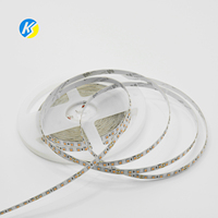 Bande lumineuse à LED RVB super lumineuse approuvée CE/Rohs 24V/12V SMD 2835 haute densité 120LED/M pour clubs, bars et lieux de divertissement