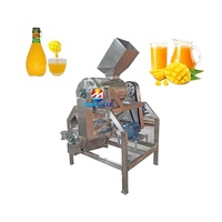 Dubbele fase fruitpulper, ontpitter en schilmachine, automatische mango-, appel- en tomatenpulper en -schiller, roestvrijstalen apparatuur