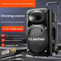 Haut-parleur Bluetooth intégré avec microphone de 12 pouces, chariot de danse carrée, haut-parleur portable de karaoké pour l'extérieur