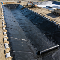 Geomembrana Impermeable Más Vendida en 2025, Lámina de HDPE Resistente a Ácidos para Almacenamiento de Residuos en Minería Industrial