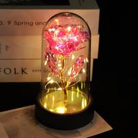 Lot de 2026 roses éternelles lumineuses, cadeau polyvalent pour la Saint-Valentin, les mariages, la fête des Mères, Noël, le Nouvel An chinois et les fêtes du Nouvel An