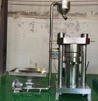 Machine d'extraction d'huile hydraulique 20 kg/h pour l'extraction d'huile d'avocat, de soja et de colza utilisée dans les usines de traitement des huiles