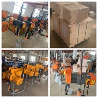 Palans électriques à chaîne de type EQ à bas prix avec crochet ou chariot pour l'usine