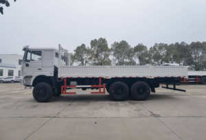 Camion Camion <span class=keywords><strong>Prix</strong></span> Cargo Camions Fabrication en Chine Nouveau Shacman 10 roues Moteur diesel de puissance Camion Cargo <span class=keywords><strong>Camionnette</strong></span> - Product Image 4