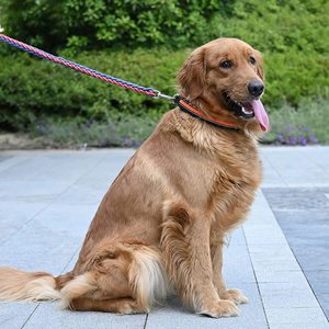 Nibao Hond Pinch Kraag, Prong Dog <span class=keywords><strong>Training</strong></span> Kraag Met Afneembare Quick-Release Gesp - Product Image 5