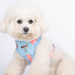 Kangdarpet Padded for <strong>Small</strong> Medium <strong>Dogs</strong> Pomeranian Colorful Outdoor Leash Breathable Design <strong>Dog</strong> Chest <strong>Harness</strong> - Product Image 6