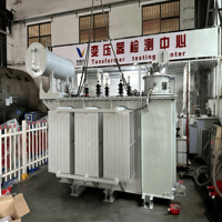 Transformador de Distribución Trifásico Sumergido en Aceite de 20kV 0.4kV 400V 1MVA-10MVA con Bobina de Conservación y Bobinado de Aluminio