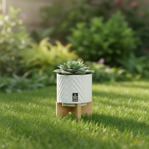 Vaso Chevron con Supporto in Ceramica Bianca da 5 Pollici per Piante da Scrivania - Product Image 2