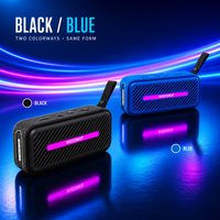 Tragbarer V5.3 10W Kabelloser Musik-Lautsprecher mit Ultra-Tiefbass, Wiederaufladbar, USB-Ladefunktion, Plastikgehäuse, Eingebautes Mikrofon