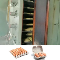 Máquina de Moldeo de Pulpa para Bandejas de Huevos y Papel de Alta Velocidad, 1000-7000 piezas/hora, 220V/380V