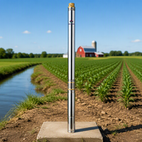 Pompe immergée monophasée premium 3 pouces en acier inoxydable 304, 3 m³/h, 37 étages, hauteur de refoulement 149 m pour l'irrigation agricole et l'eau industrielle