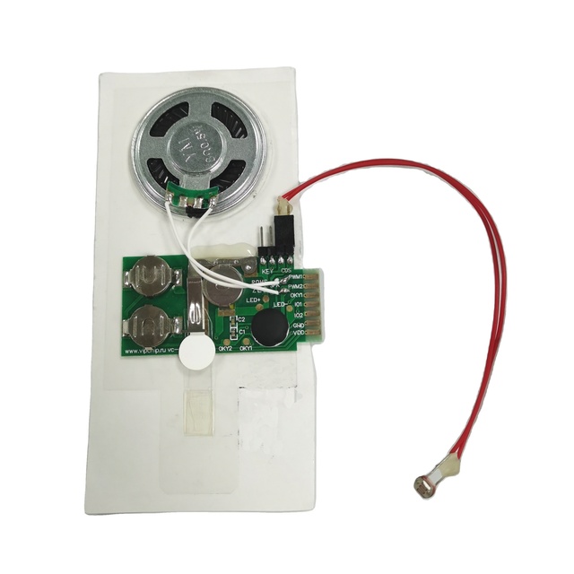 Custom Programmed Greeting Sound Card Module with Light Sensor Activation MP3/WAV Music 60s Duration for Gift Cards & Sound Toys