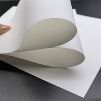 Feuille de papier synthétique opaque écologique Lizheng en polypropylène imperméable Prochema 450µm, non déchirable, pour imprimante laser