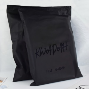 Busta Nera Opaca Personalizzata con Cerniera e Logo, Sacchetto Autosigillante in PE per Imballaggio Abbigliamento - Product Image 1