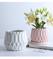 P76 Geometric Hydro ponic Green Plant Home Ornament Dekoration Pothos Keramik Blumentopf Set Tischplatte Blumentopf CLASSIC Simple