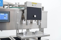 Machine d'emballage semi-automatique pour bonbons gélifiés avec contrôle PLC et fonction de comptage