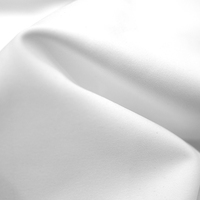 Tela Elástica de Poliéster y Algodón Cepillado Resistente al Desgaste para la Fabricación de Prendas de Aislamiento Térmico, Sudaderas y Camisetas de Primera Calidad