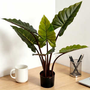 <span class=keywords><strong>Planta</strong></span> Artificial de Taro Arcoíris de Hojas Anchas, Duradera, de Plástico, para Decoración de Interiores y Exteriores, Sala de Estar y Hogar - Product Image 4
