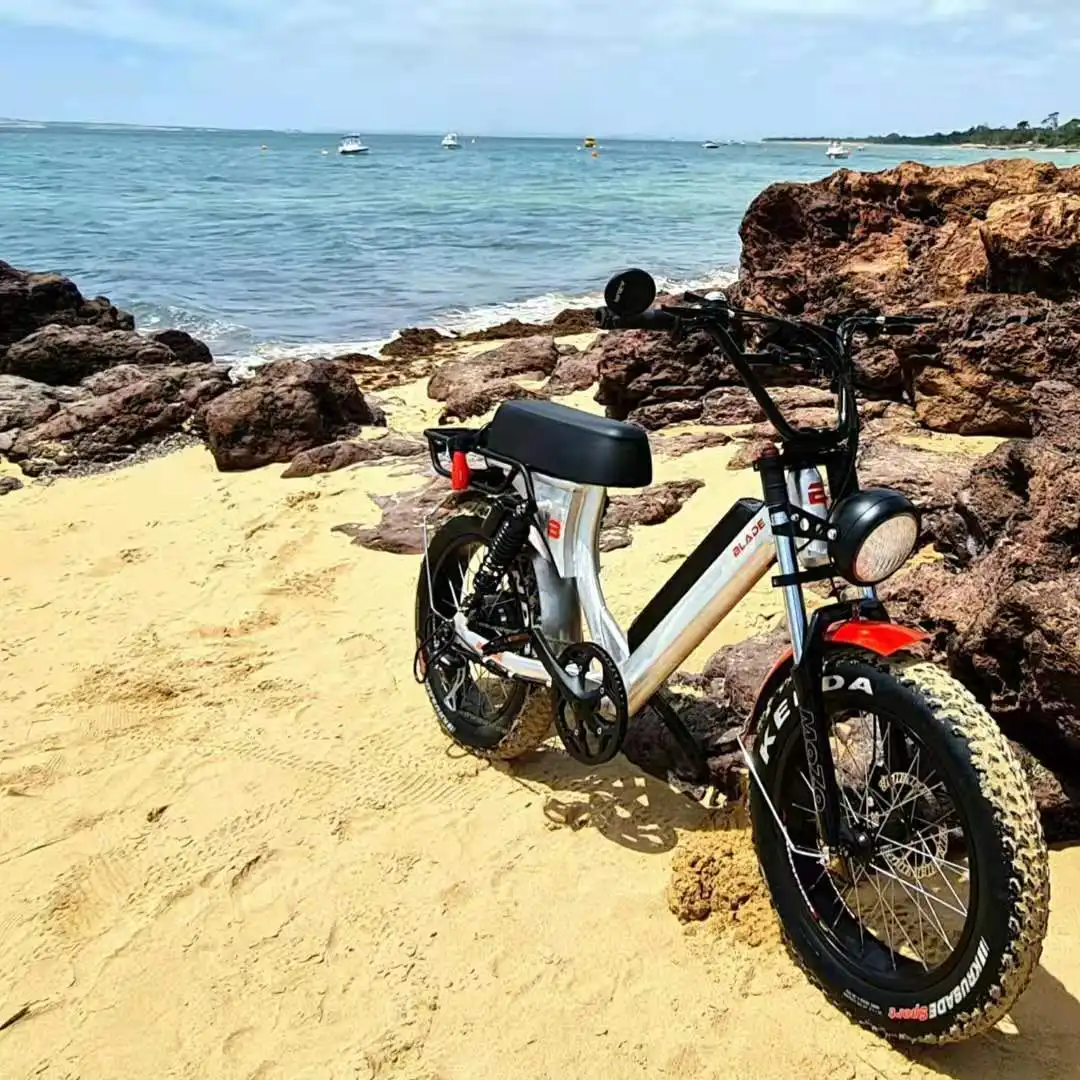 2021 lançado vintage fat pneu bicicleta elétrica, 20 polegadas ebike 1000w bafang motor e-bikes com dois assento